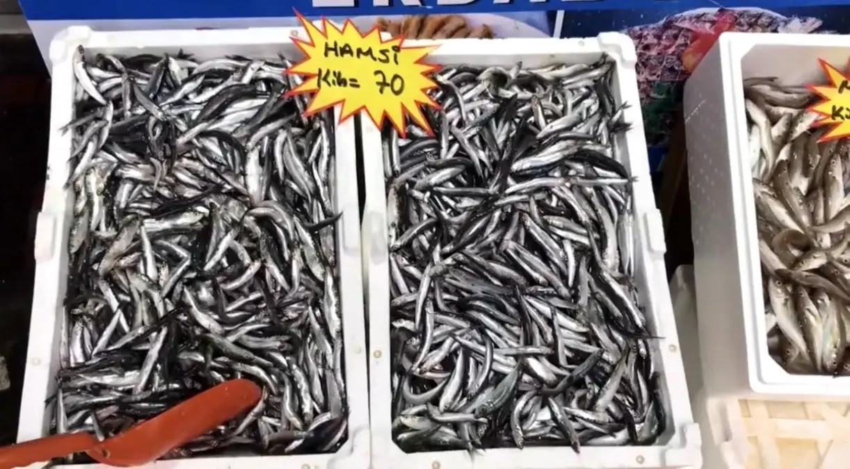 akcakoca balikci barinagi baskanindan taze balik uyarisi Qb6QAEZc.jpg