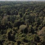 dunyanin-en-buyuk-akcigeri-konumundaki-amazon-kuruyor-H7Vm7T2X