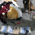 Mersin’de Uyuşturucu Operasyonu: 5 Kilo 872 Gram Kokain Yakalandı