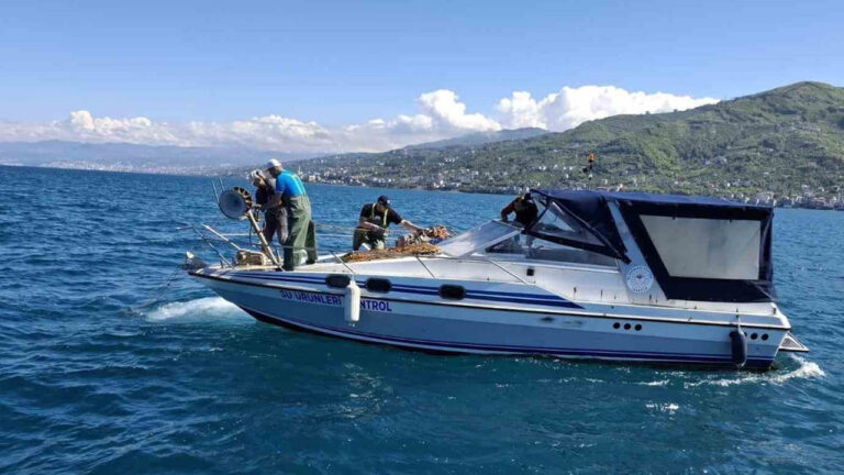 trabzonda-3-bin-metrelik-kacak-aga-el-konuldu-yMNv9VTH