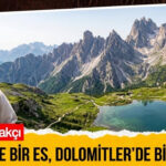 Haber gorseli